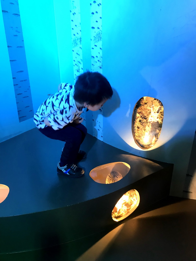 Max with a stuffed rabbit at the `Beleef Ontdek Samen: BOS` exhibition at the second floor of the Natuurmuseum Brabant