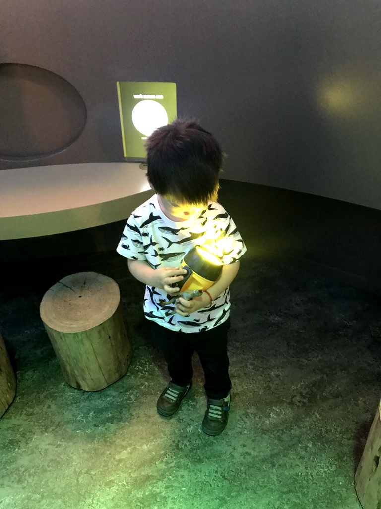 Max with a flashlight at the `Beleef Ontdek Samen: BOS` exhibition at the second floor of the Natuurmuseum Brabant