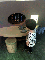 Max at the `Beleef Ontdek Samen: BOS` exhibition at the second floor of the Natuurmuseum Brabant