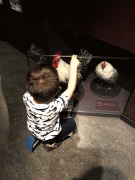 Max with stuffed `Chaams Hoen` chickens at the `Jouw Brabant, mijn Brabant - een landschap vol herinneringen` exhibition at the first floor of the Natuurmuseum Brabant