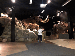 Max with wax statues of several animals at the `IJstijd!` exhibition at the ground floor of the Natuurmuseum Brabant