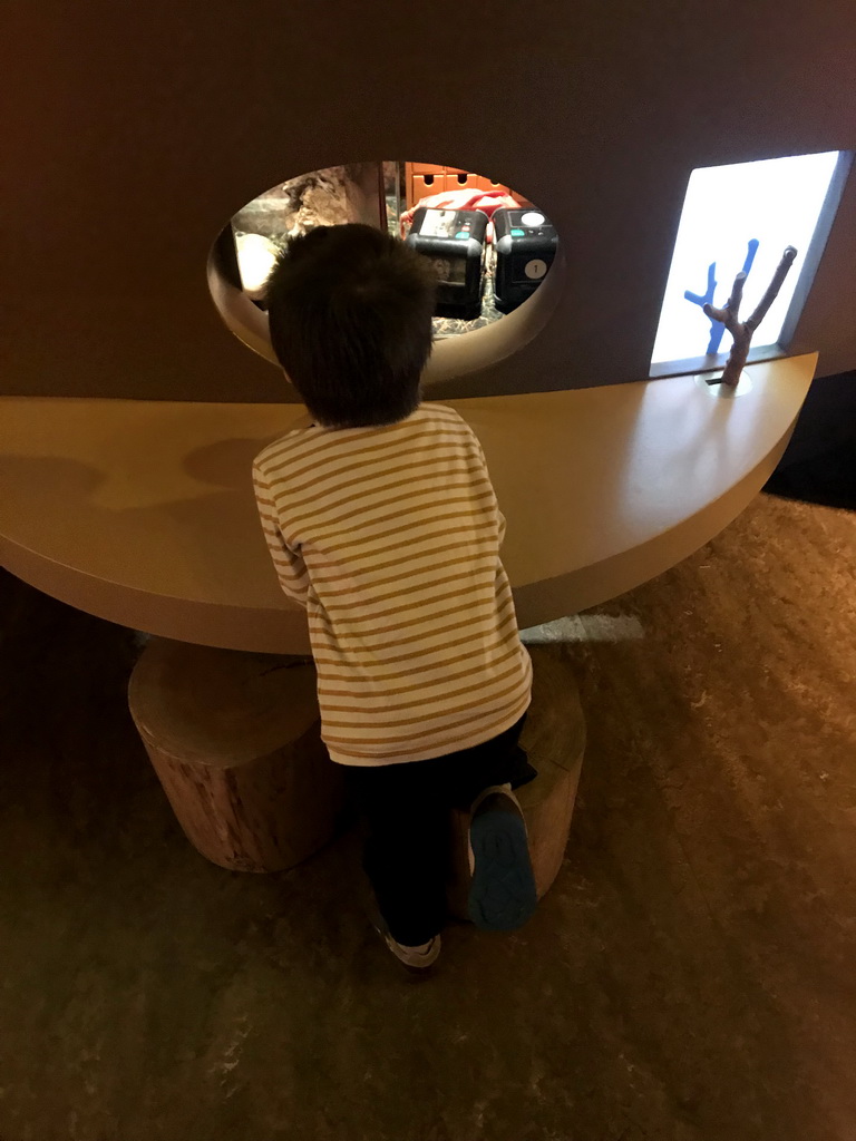 Max at the `Beleef Ontdek Samen: BOS` exhibition at the second floor of the Natuurmuseum Brabant