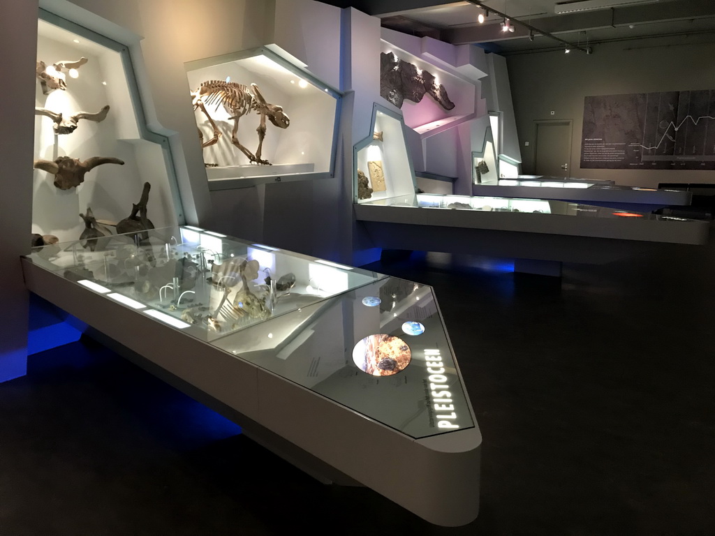 Interior of the `Uitsterven` exhibition at the second floor of the Natuurmuseum Brabant