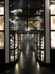 Interior of the OO-zone at the ground floor of the Natuurmuseum Brabant
