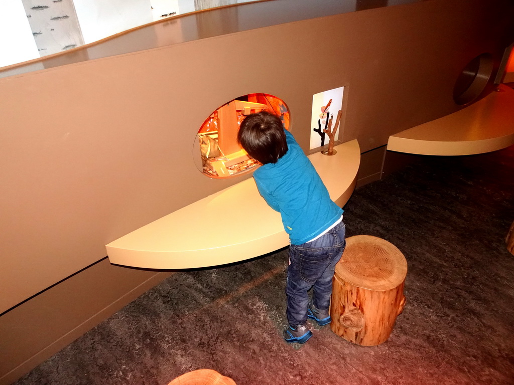 Max at the `Beleef Ontdek Samen: BOS` exhibition at the second floor of the Natuurmuseum Brabant