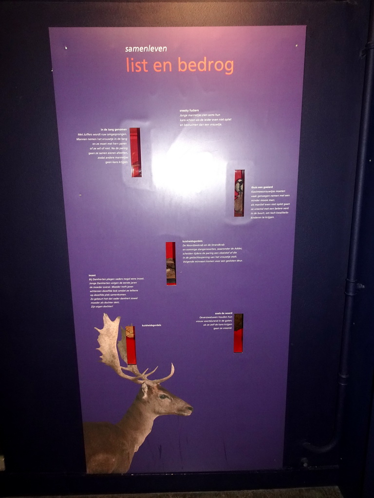 Information on `Living Together - Trickery and Deceit` at the `Hoezo Seks?` exhibition at the second floor of the Natuurmuseum Brabant