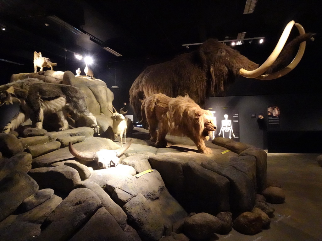Wax statues of prehistoric animals at the `IJstijd!` exhibition at the ground floor of the Natuurmuseum Brabant