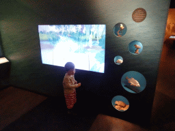 Max with a screen and stuffed animals at the `Jouw Brabant, mijn Brabant - een landschap vol herinneringen` exhibition at the first floor of the Natuurmuseum Brabant