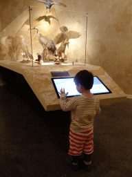 Max with stuffed animals at the `Jouw Brabant, mijn Brabant - een landschap vol herinneringen` exhibition at the first floor of the Natuurmuseum Brabant