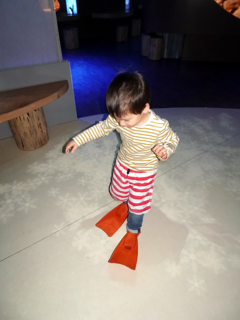 Max at the `Beleef Ontdek Samen: BOS` exhibition at the second floor of the Natuurmuseum Brabant