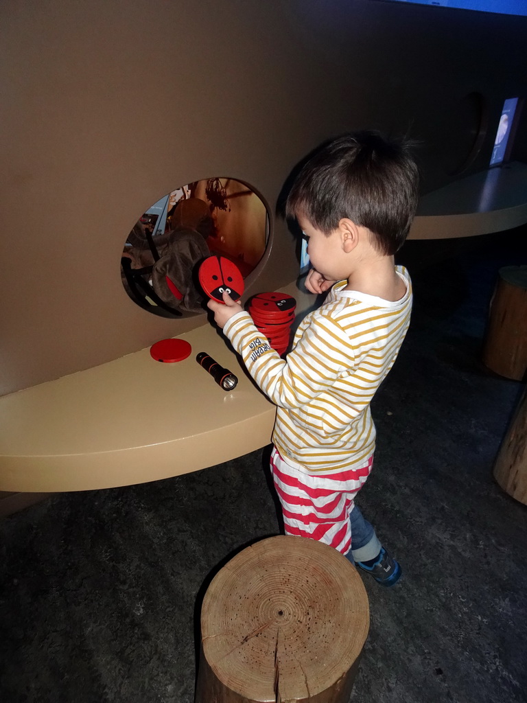 Max at the `Beleef Ontdek Samen: BOS` exhibition at the second floor of the Natuurmuseum Brabant