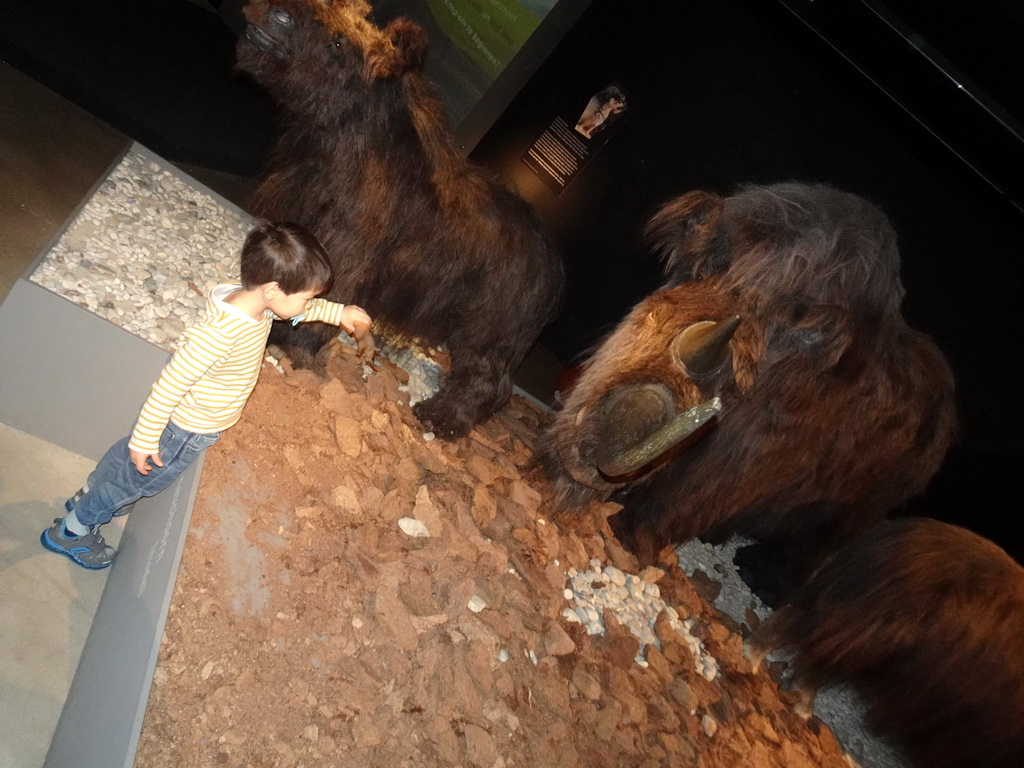 Max with a toy and wax statue of a Woolly Rhinoceros at the `IJstijd!` exhibition at the ground floor of the Natuurmuseum Brabant