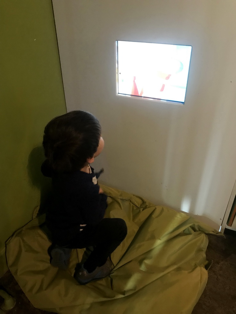 Max at the TV screen at the `Kikker is hier!` exhibition at the second floor of the Natuurmuseum Brabant