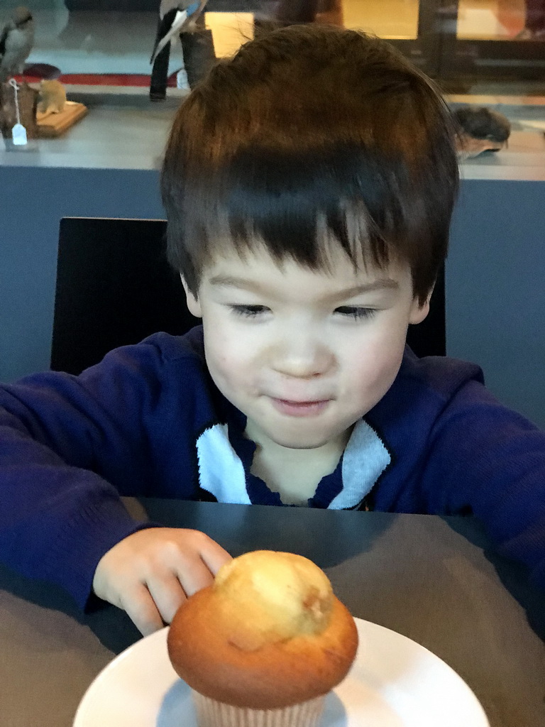 Max with a muffin at the Museumcafé at the ground floor of the Natuurmuseum Brabant