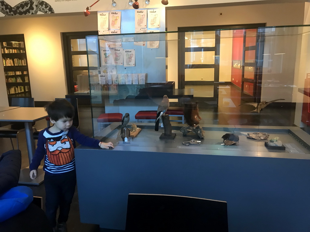 Max with stuffed animals at the Museumcafé at the ground floor of the Natuurmuseum Brabant