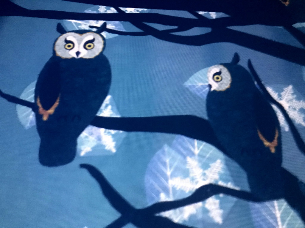 Projection of two Owls at the `Beleef Ontdek Samen: BOS` exhibition at the second floor of the Natuurmuseum Brabant