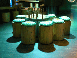 Table and chairs at the `Beleef Ontdek Samen: BOS` exhibition at the second floor of the Natuurmuseum Brabant