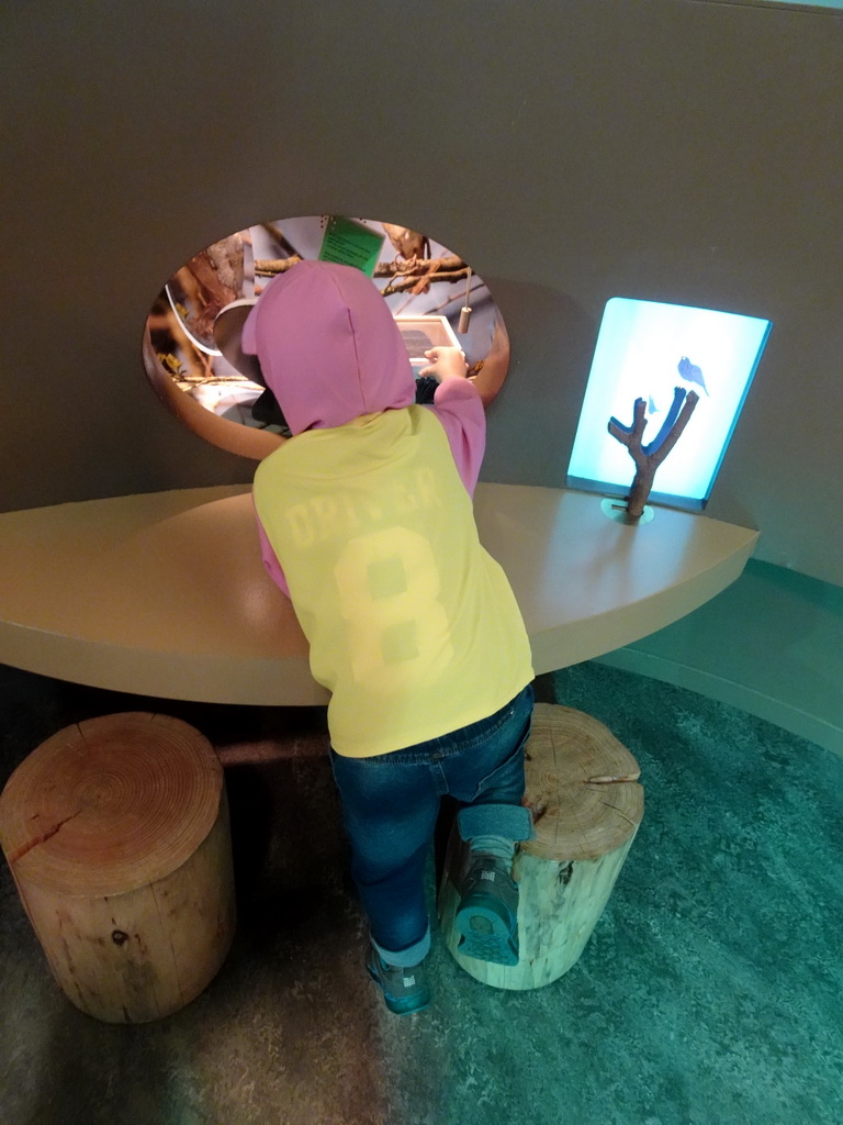 Max at the `Beleef Ontdek Samen: BOS` exhibition at the second floor of the Natuurmuseum Brabant