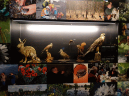 Stuffed animals at the `Jouw Brabant, mijn Brabant - een landschap vol herinneringen` exhibition at the first floor of the Natuurmuseum Brabant