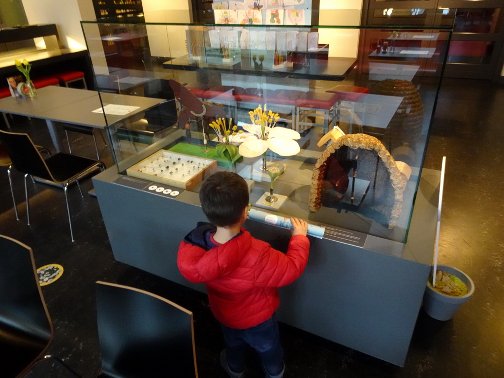Max with a beehive and a scale model of a flower at the Museumcafé at the ground floor of the Natuurmuseum Brabant