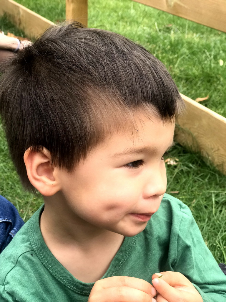 Max at the Dierenpark De Oliemeulen zoo, during the Birds of Prey Show