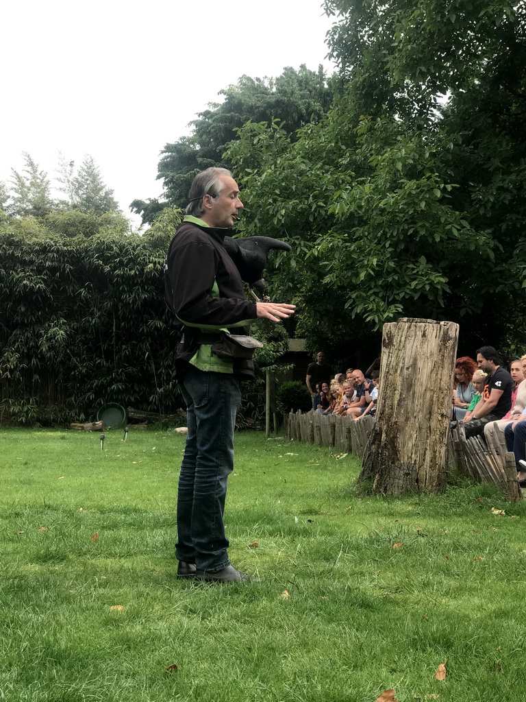 Zookeeper with a Black Vulture at the Dierenpark De Oliemeulen zoo, during the Birds of Prey Show