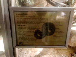 Explanation on the Common Northern Boa at the Upper Floor of the main building of the Dierenpark De Oliemeulen zoo