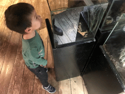 Max with a Tarantula at the Upper Floor of the main building of the Dierenpark De Oliemeulen zoo