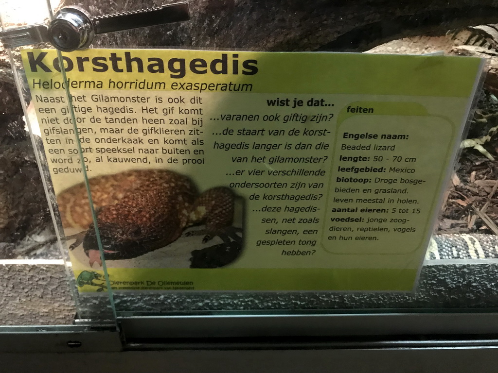 Explanation on the Beaded Lizard at the Upper Floor of the main building of the Dierenpark De Oliemeulen zoo