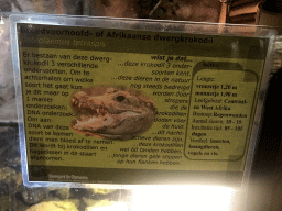 Explanation on the Dwarf Crocodile at the Lower Floor of the main building of the Dierenpark De Oliemeulen zoo