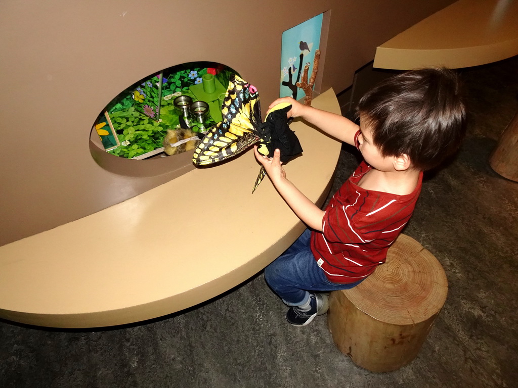 Max playing with a butterfly toy at the `Beleef Ontdek Samen: BOS` exhibition at the second floor of the Natuurmuseum Brabant