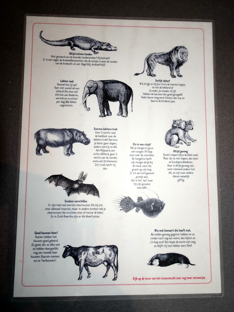 Back side of the menu of the Museumcafé at the ground floor of the Natuurmuseum Brabant