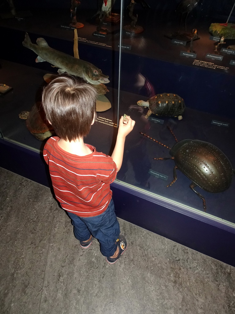 Max with stuffed animals at the `Hoezo Seks?` exhibition at the second floor of the Natuurmuseum Brabant