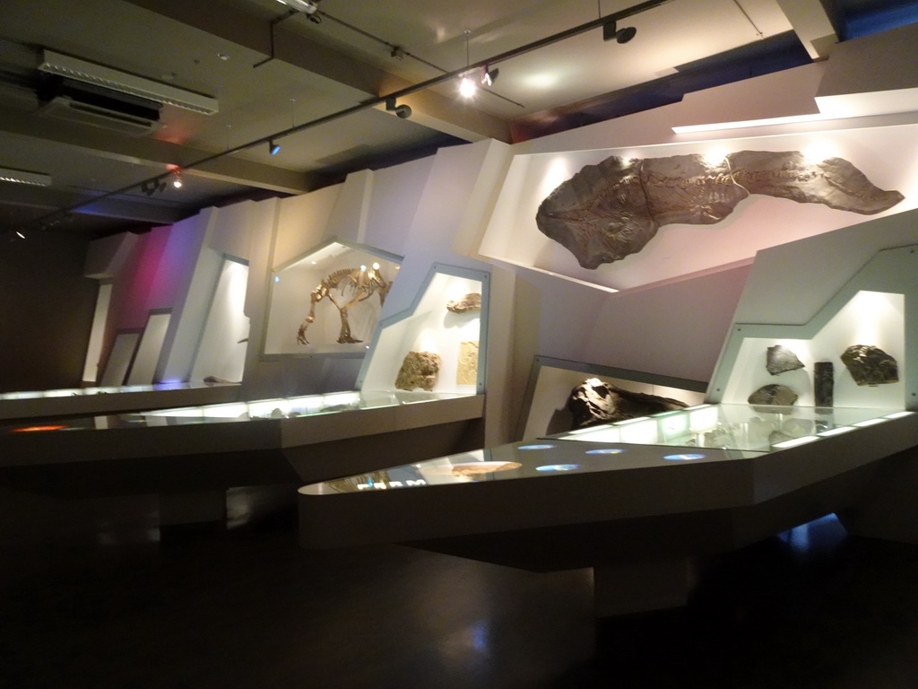 The `Uitsterven` exhibition at the second floor of the Natuurmuseum Brabant