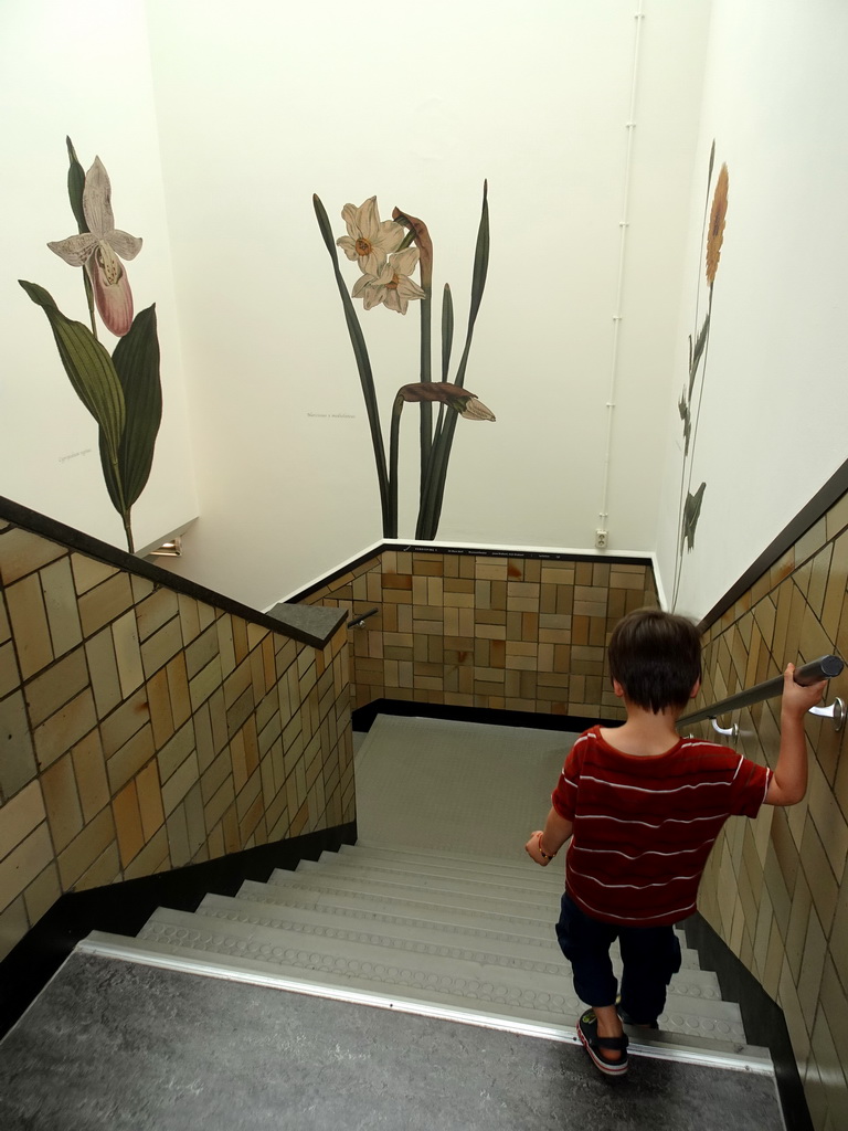 Max on the staircase from the second to the first floor of the Natuurmuseum Brabant