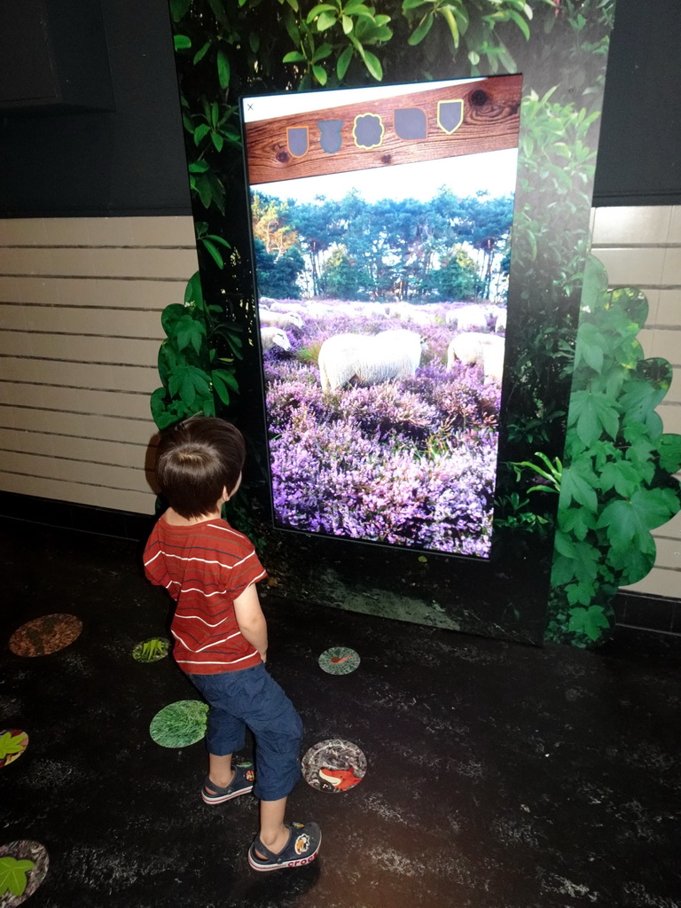 Max playing a game at the OO-zone at the ground floor of the Natuurmuseum Brabant