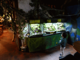 tilburg_19_009 - 278 kb - 1024x768 - Max with a snake toy looking at animals at the Ground Floor of the main building of the Dierenpark De Oliemeulen zoo Max with a snake toy looking at animals at the Ground Floor of the main building of the Dierenpark De Oliemeulen zoo