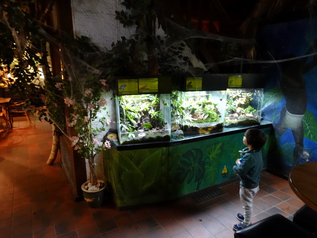 Max with a snake toy looking at animals at the Ground Floor of the main building of the Dierenpark De Oliemeulen zoo