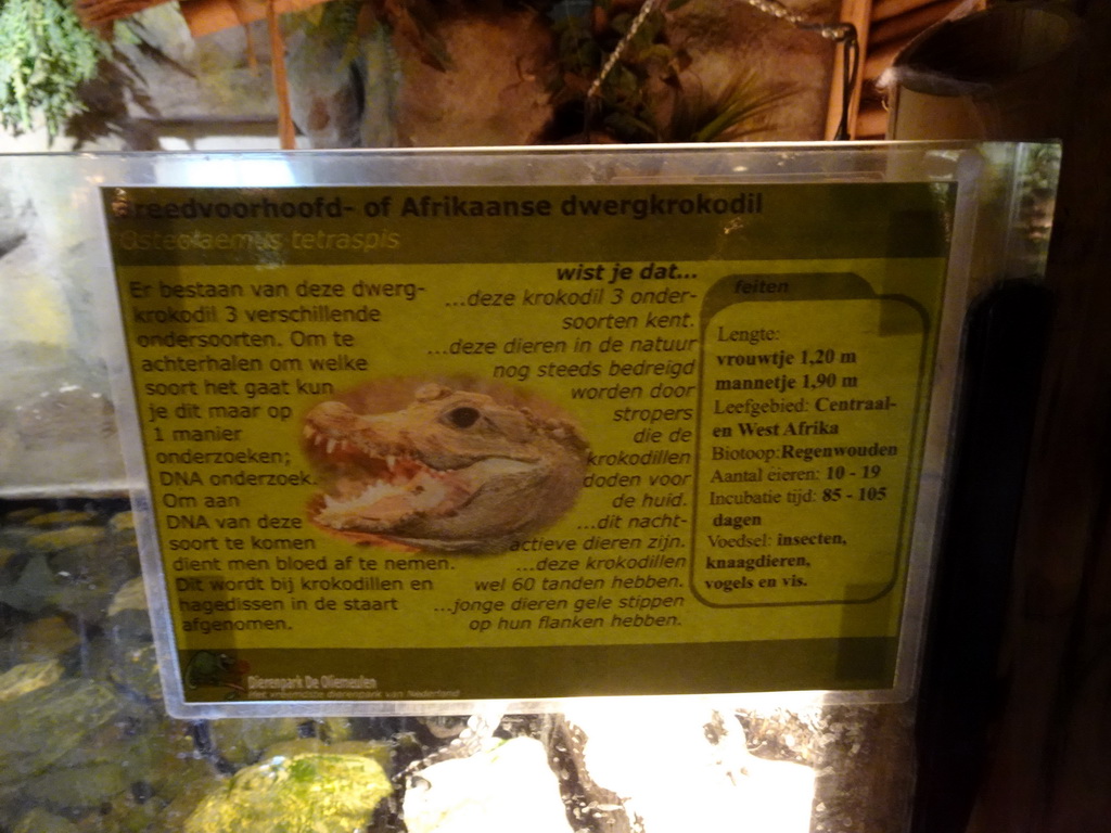 Explanation on the Dwarf Crocodile at the Ground Floor of the main building of the Dierenpark De Oliemeulen zoo