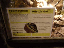Explanation on the Carpet Python at the Ground Floor of the main building of the Dierenpark De Oliemeulen zoo