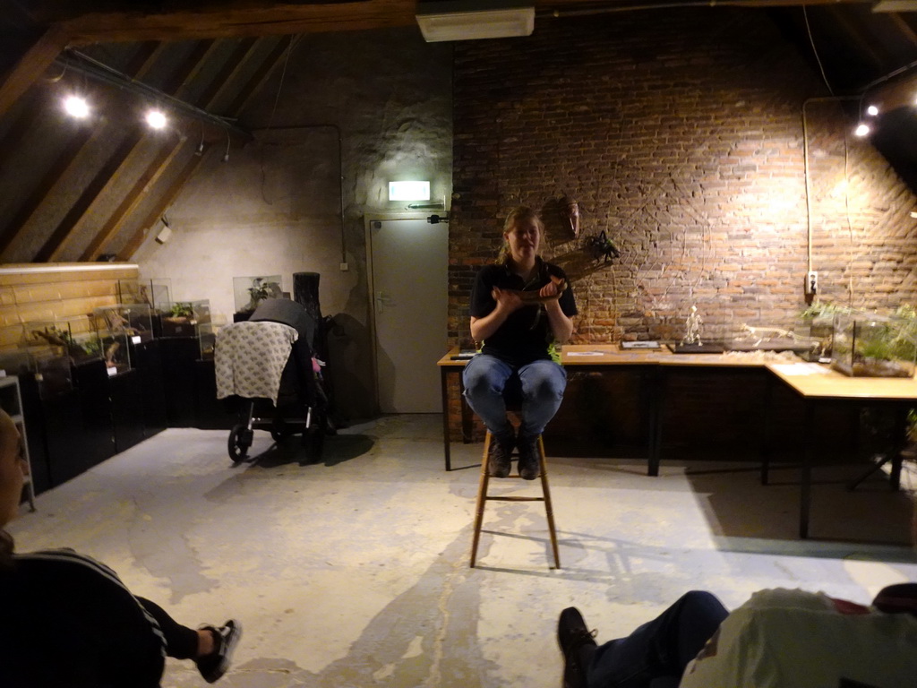 Zookeeper with a snake during the snake and spider demonstration at the Upper Floor of the main building of the Dierenpark De Oliemeulen zoo