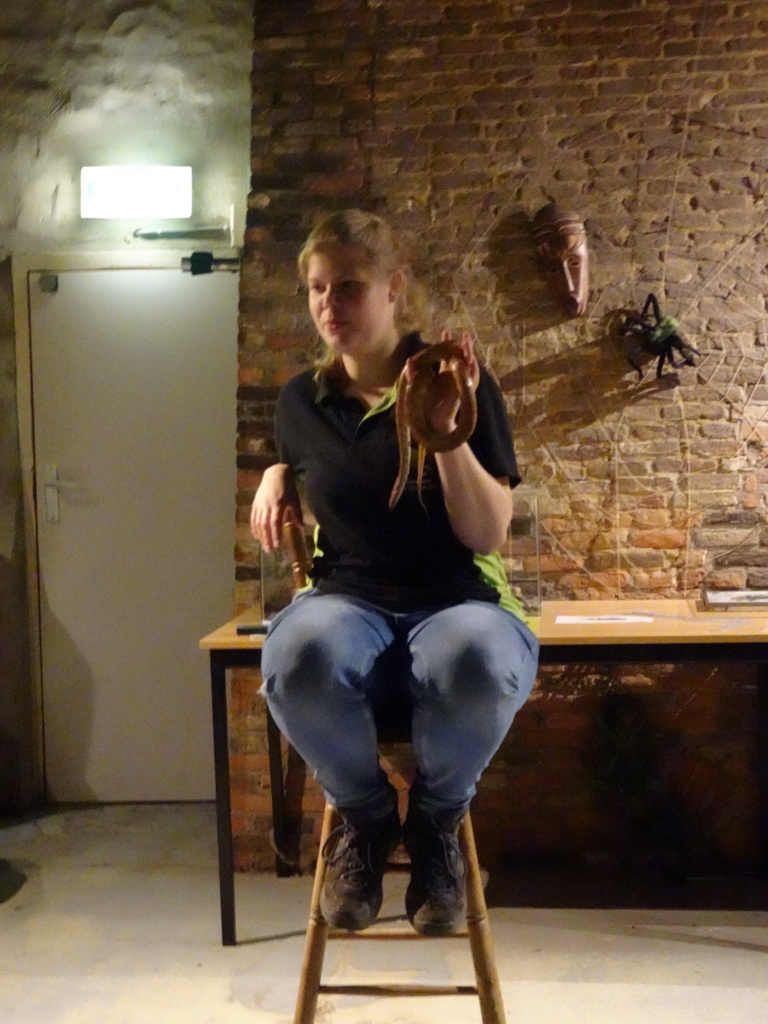 Zookeeper with a snake during the snake and spider demonstration at the Upper Floor of the main building of the Dierenpark De Oliemeulen zoo