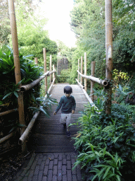Max on a bridge at the Dierenpark De Oliemeulen zoo
