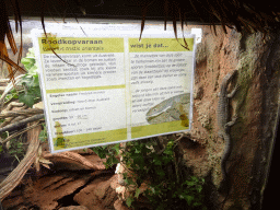 Freckled Monitor at the Ground Floor of the main building of the Dierenpark De Oliemeulen zoo, with explanation