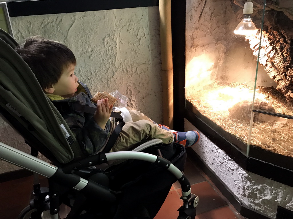 Max with a turtle at the Ground Floor of the main building of the Dierenpark De Oliemeulen zoo