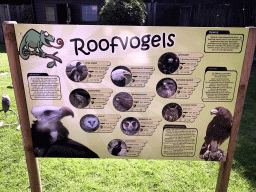 Information on the birds of prey at the Dierenpark De Oliemeulen zoo