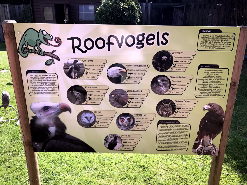 Information on the birds of prey at the Dierenpark De Oliemeulen zoo