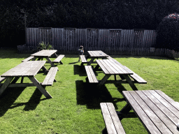 Max at the picnic tables at the Dierenpark De Oliemeulen zoo