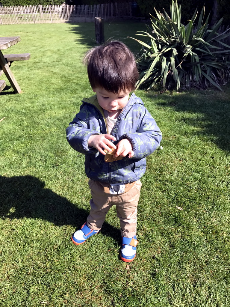 Max eating cookies at the Dierenpark De Oliemeulen zoo