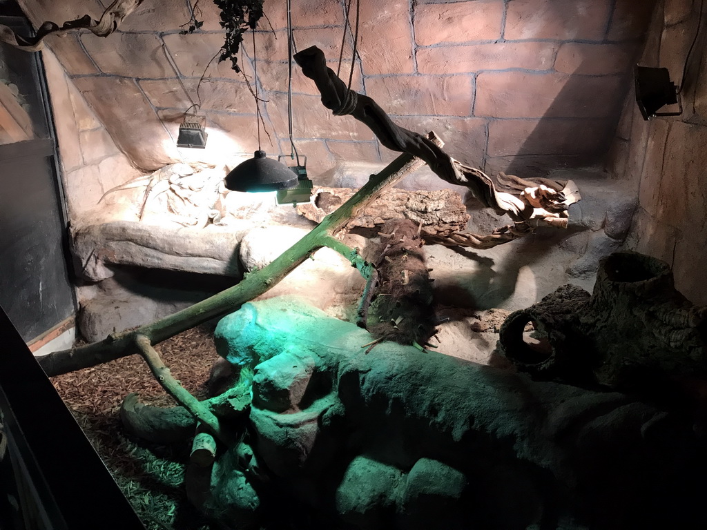 Crocodiles at the Ground Floor of the main building of the Dierenpark De Oliemeulen zoo